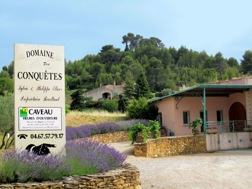 Domaine des Conquetes Winery and tasting room, Aniane